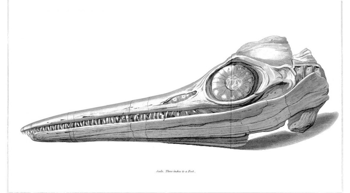 Read the full blog post