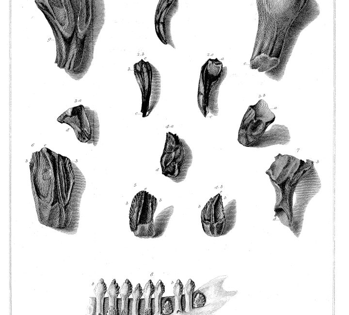 Read the full blog post