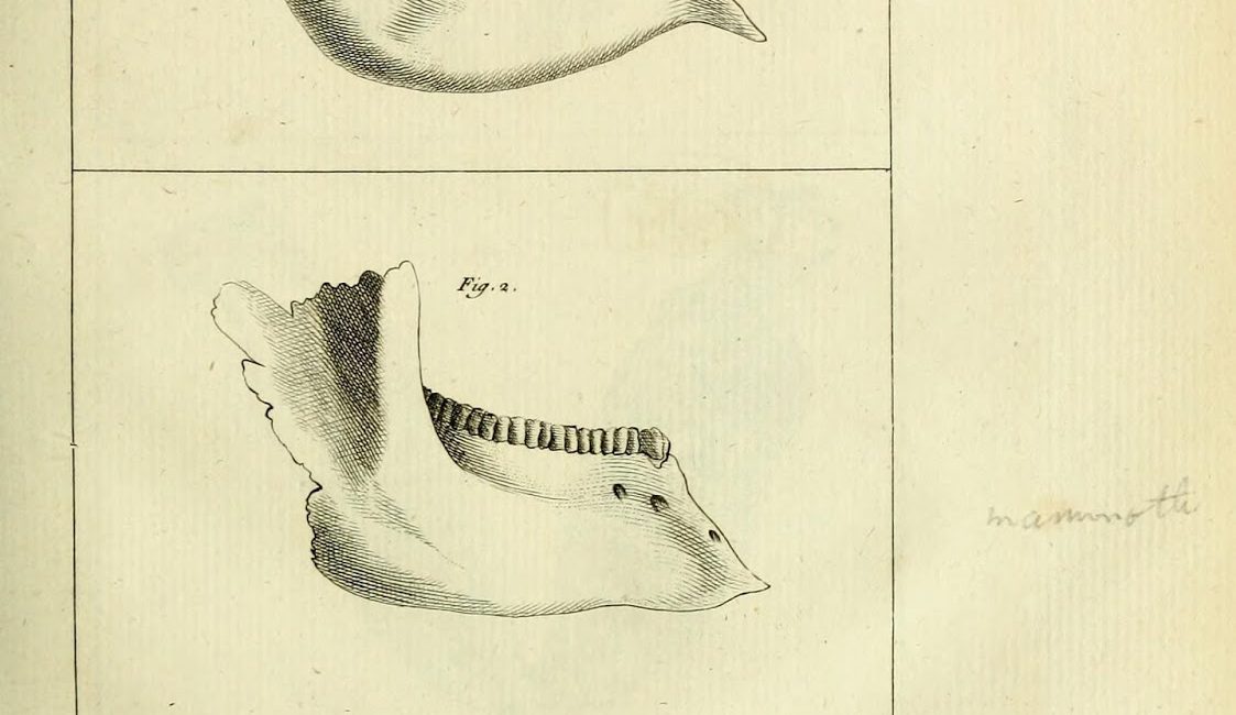 Read the full blog post