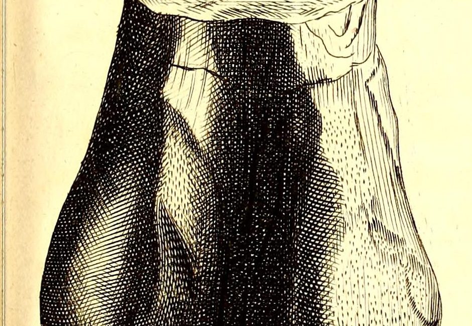 Read the full blog post