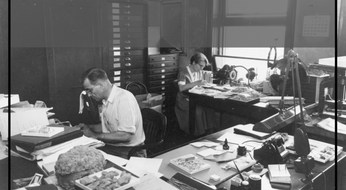 Read the full blog post