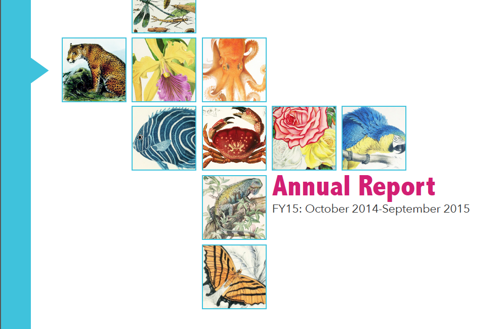 Read the full blog post