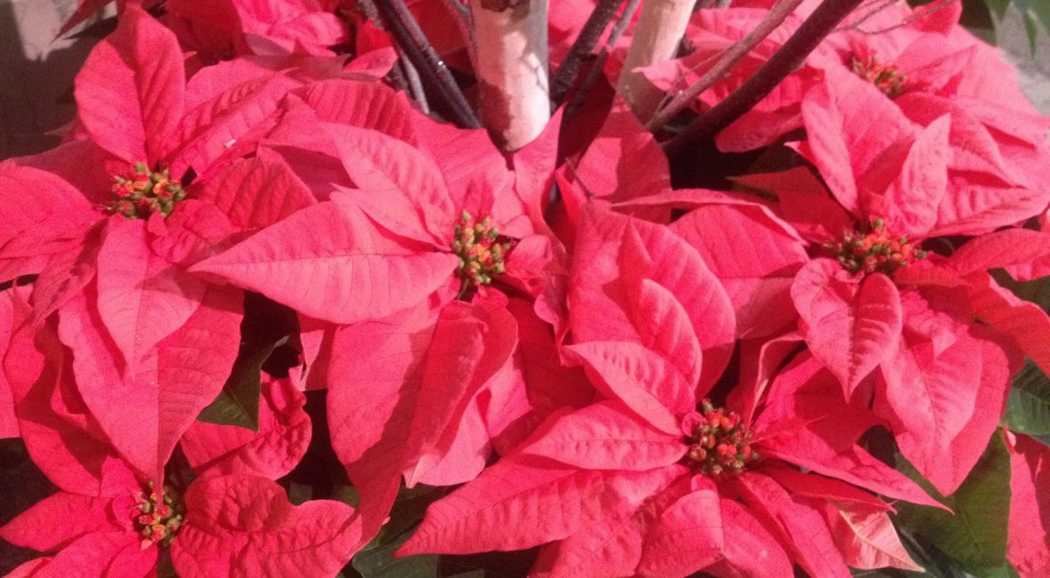 Read the full blog post