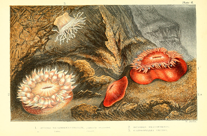 Read the full blog post