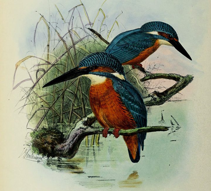 Read the full blog post