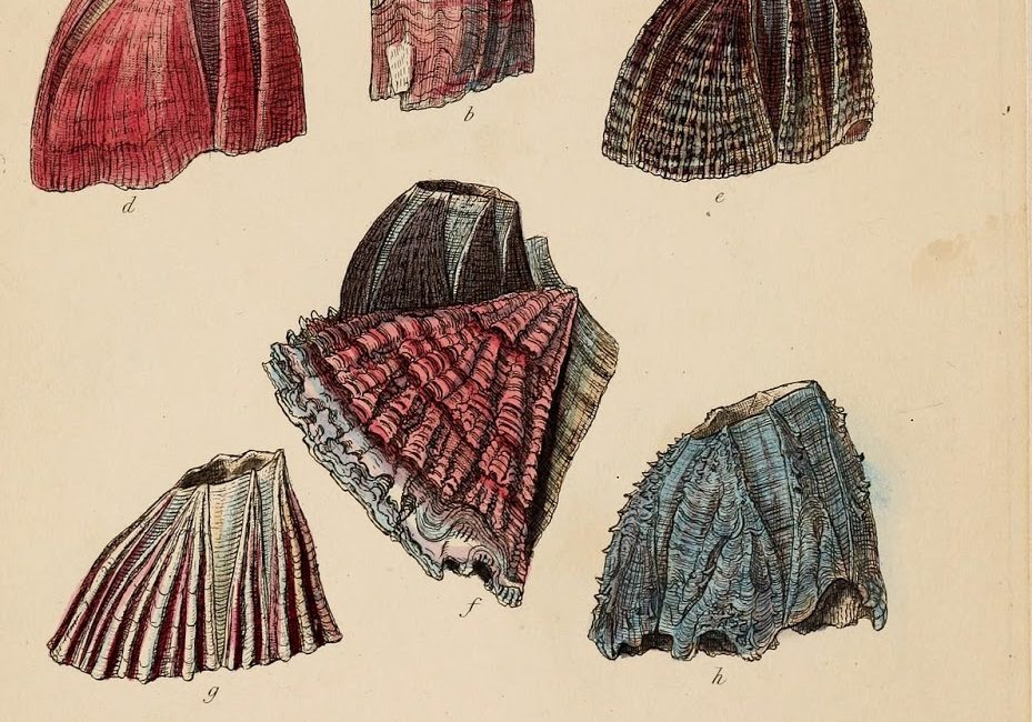 Read the full blog post