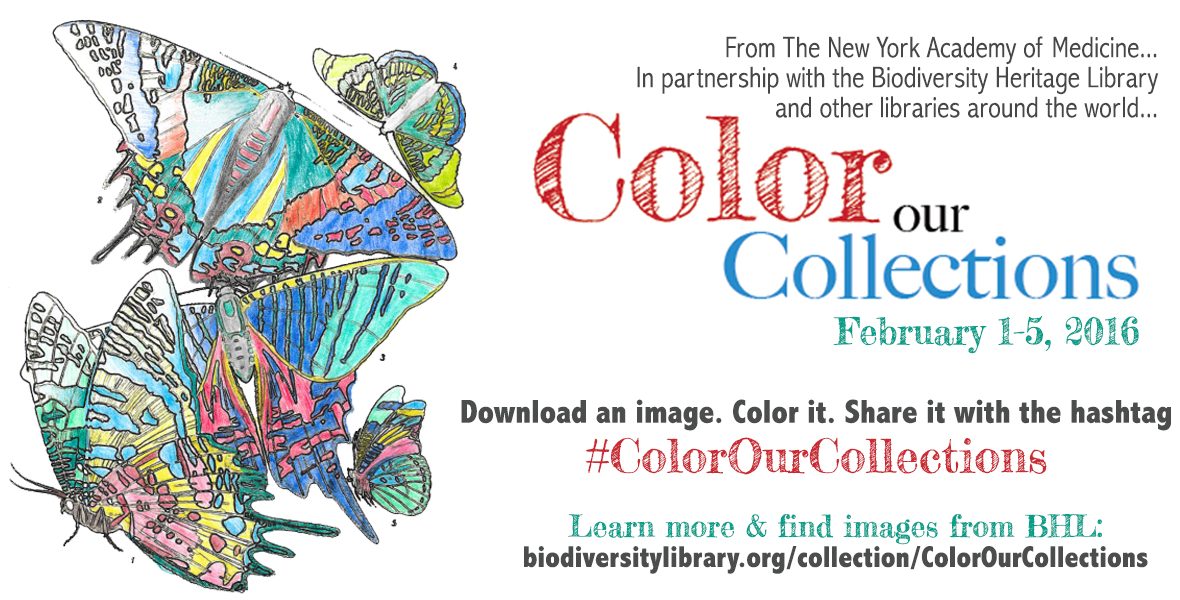 Read the full blog post