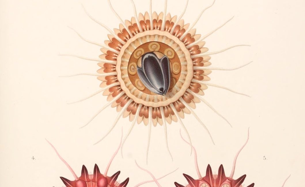 Read the full blog post