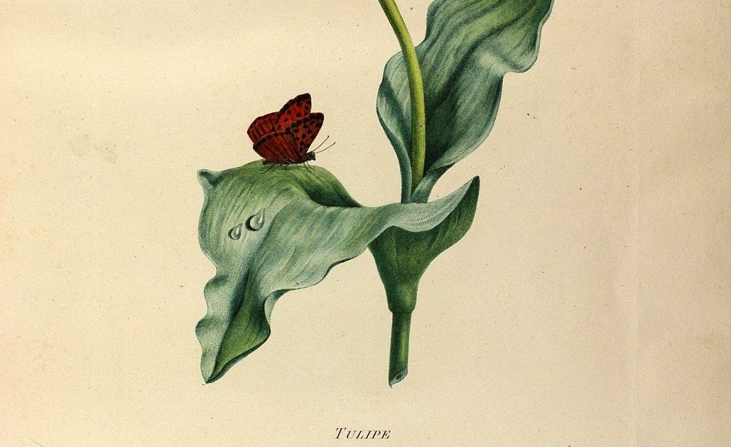 Read the full blog post