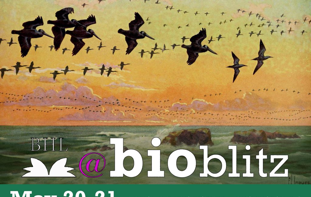 Read the full blog post