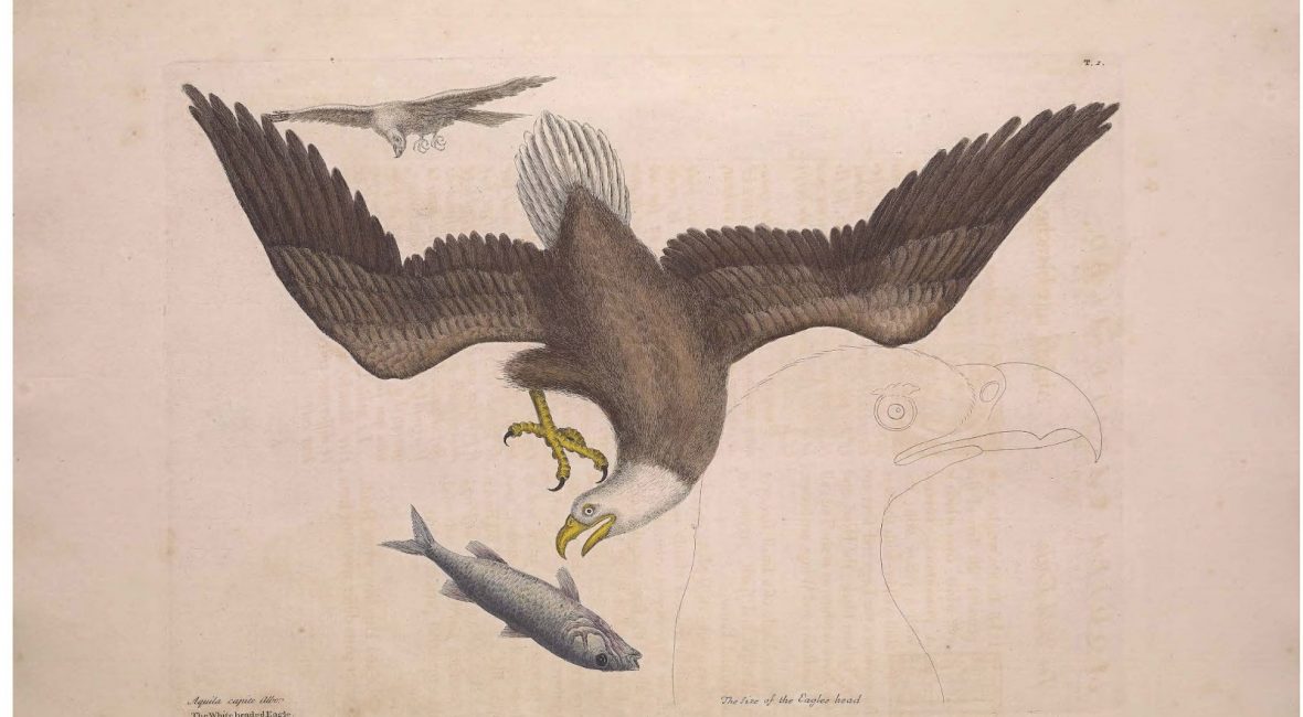 Read the full blog post