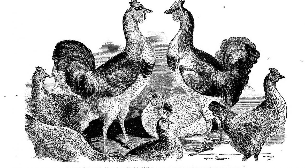 Read the full blog post