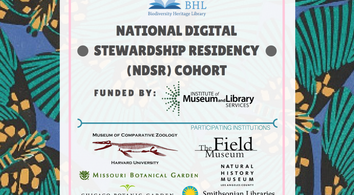 Read the full blog post