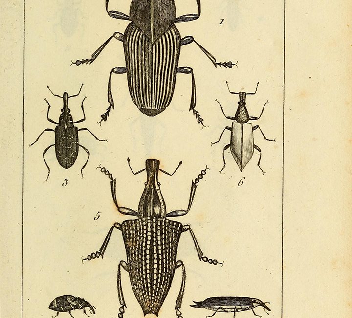 Read the full blog post