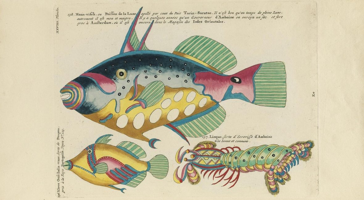 Read the full blog post