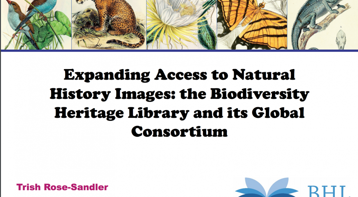 Read the full blog post