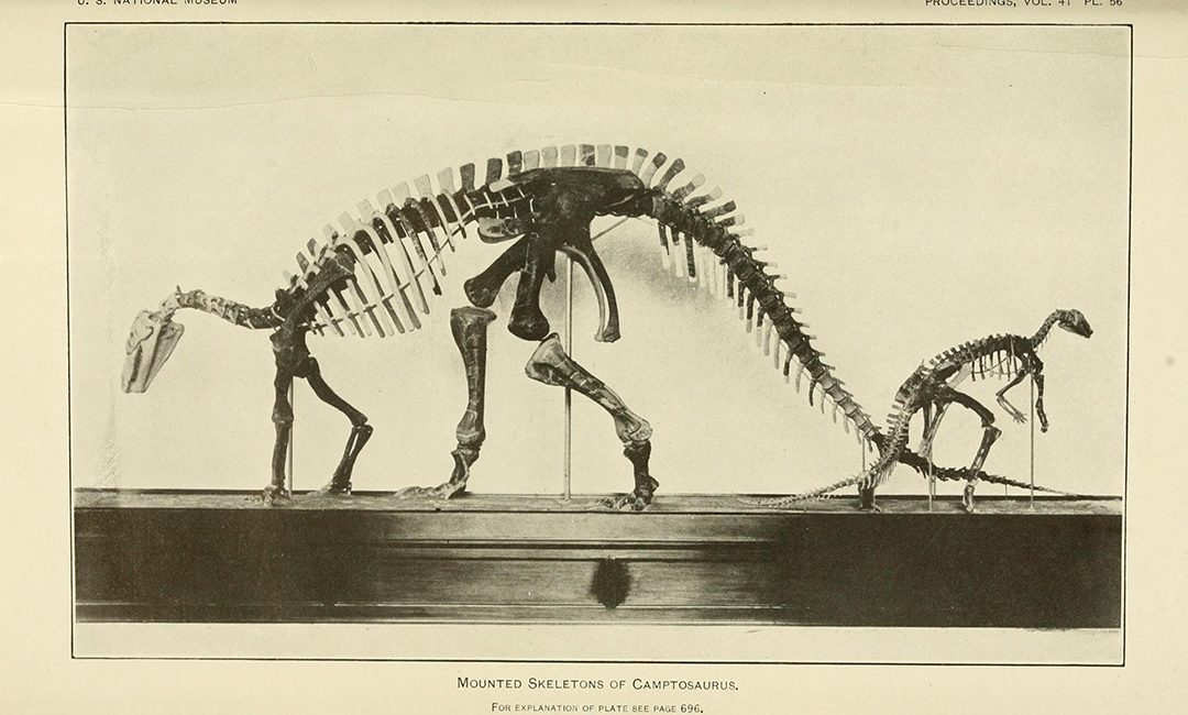 Read the full blog post