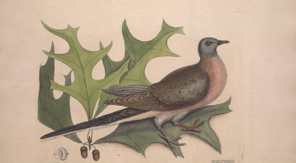 Read the full blog post