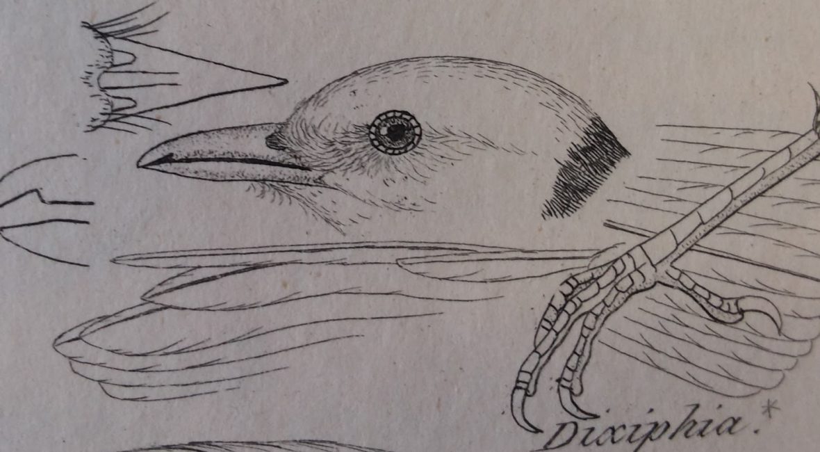 Read the full blog post