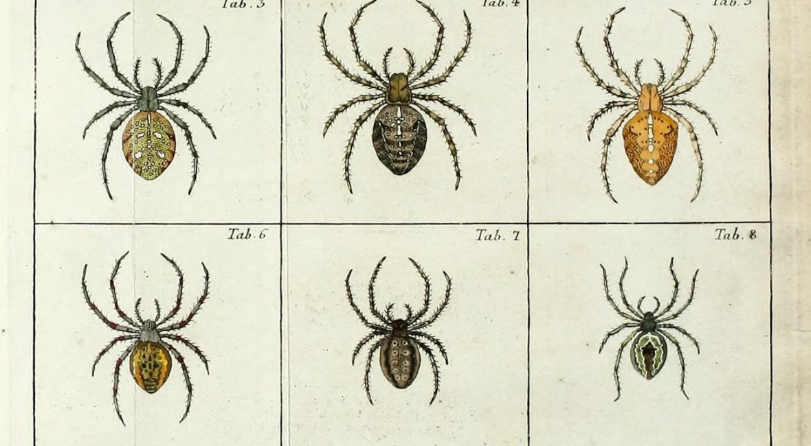 Read the full blog post