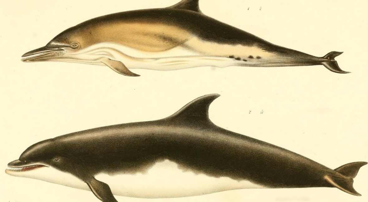 Read the full blog post