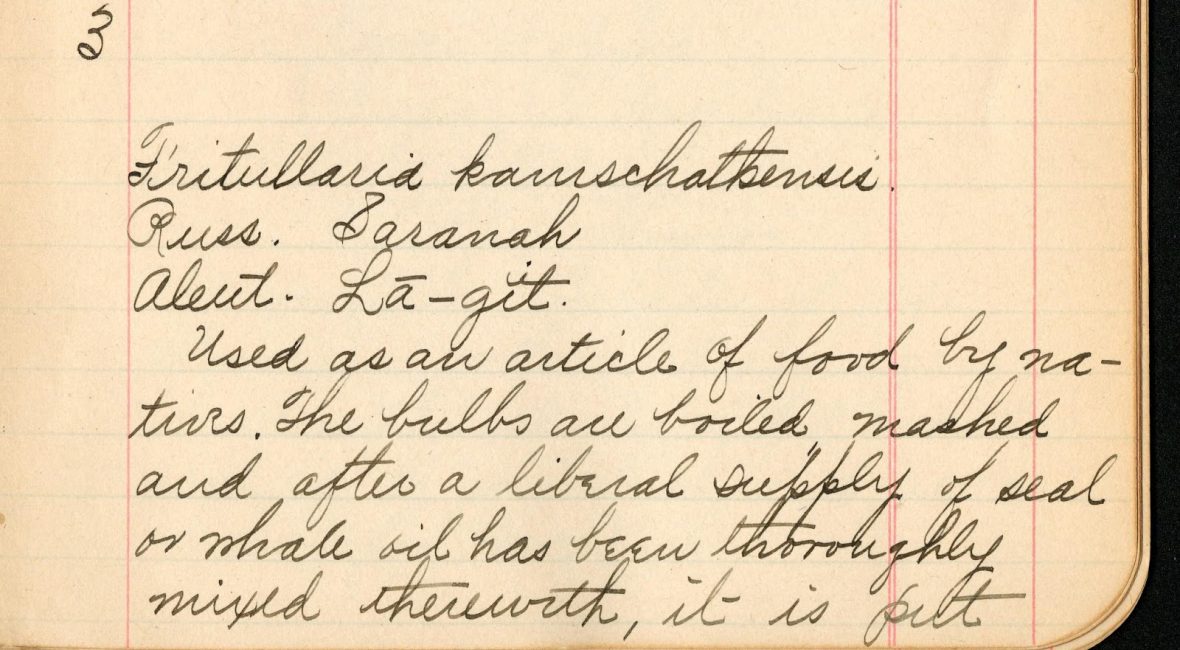 Read the full blog post