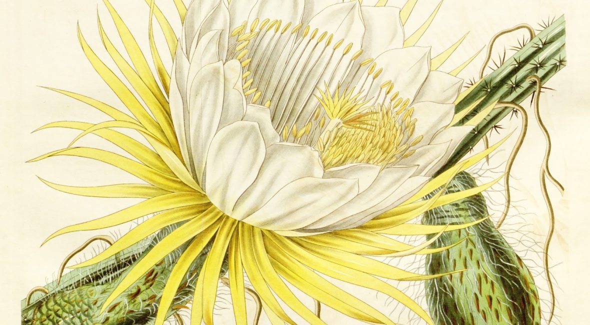 Read the full blog post