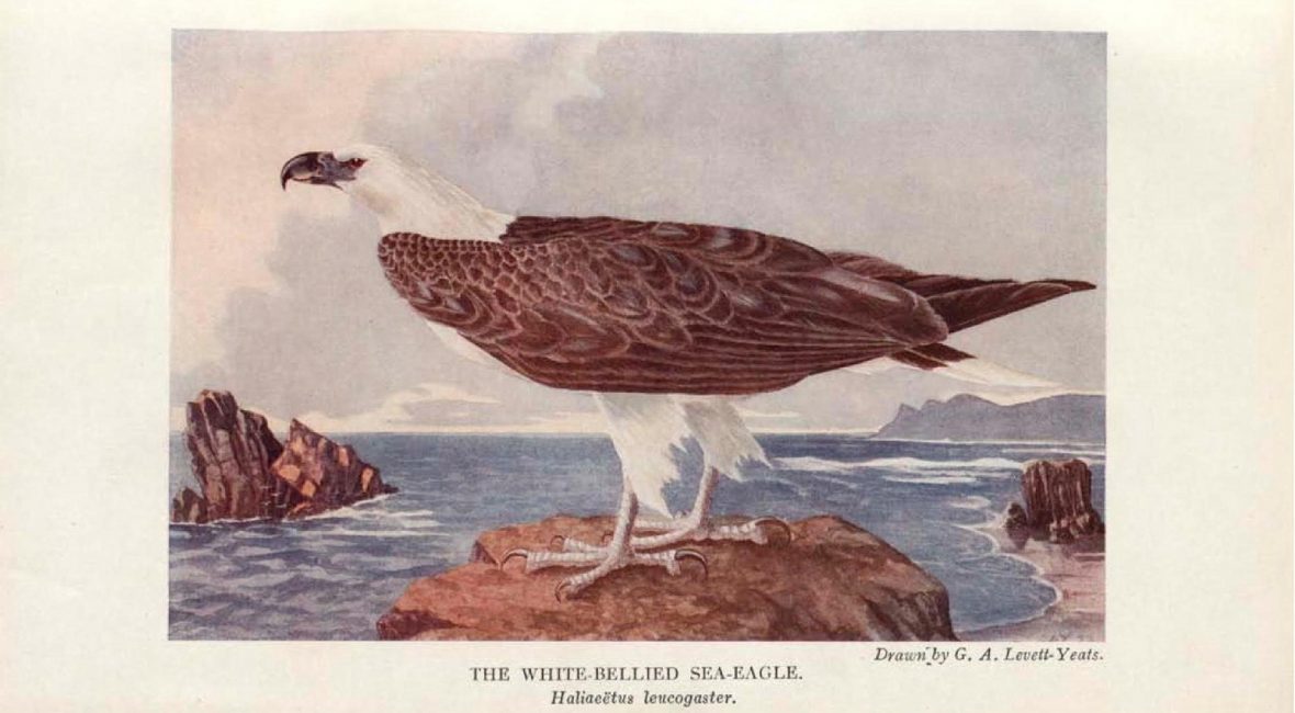 Read the full blog post