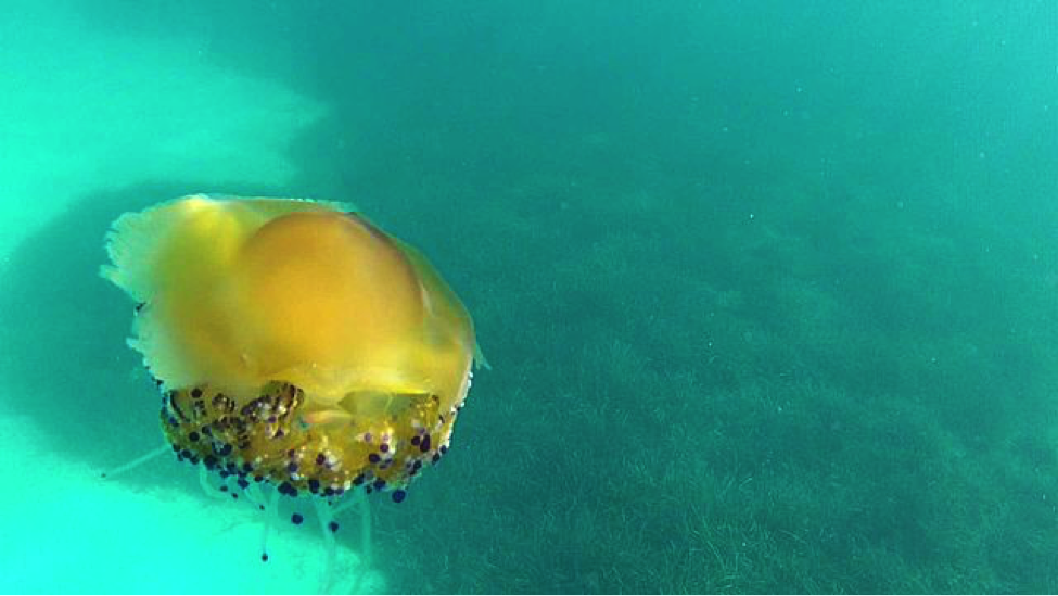 Read the full blog post