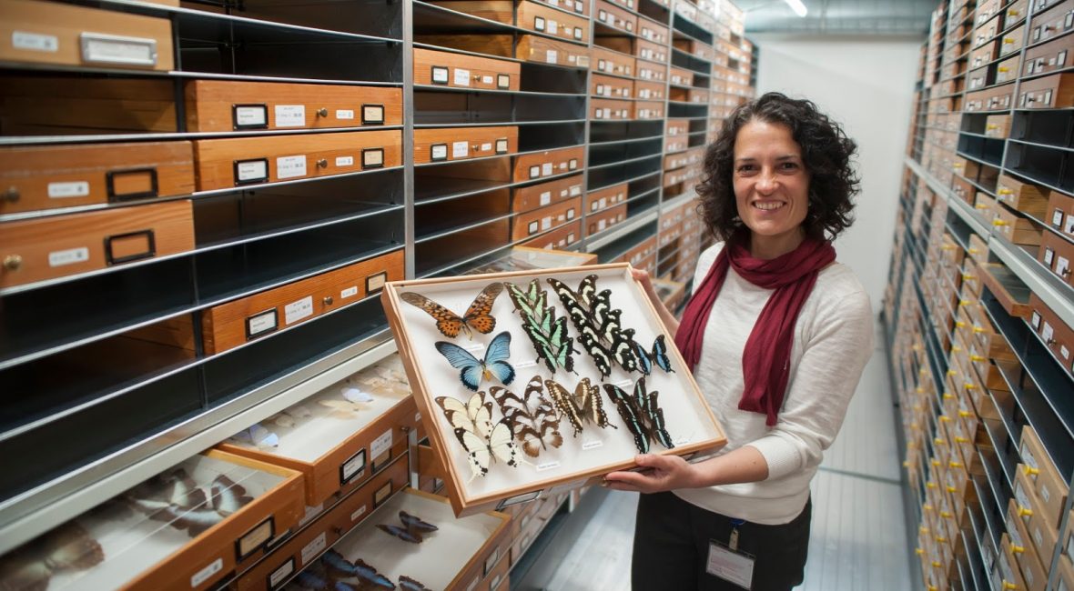 Read the full blog post