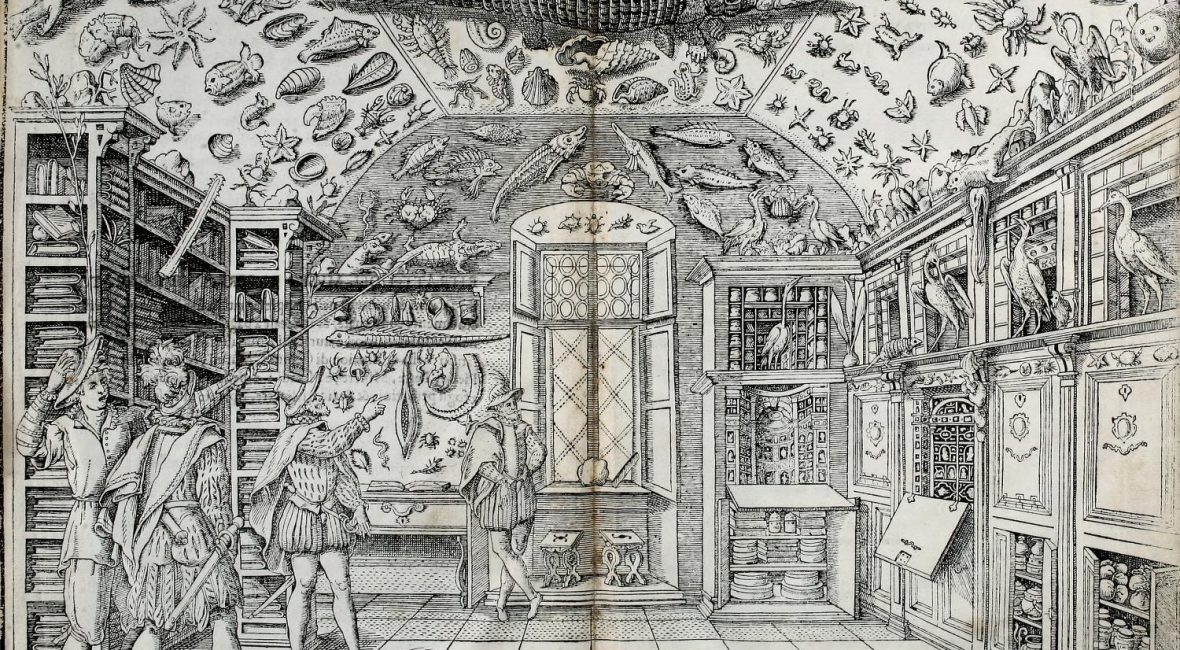 Read the full blog post