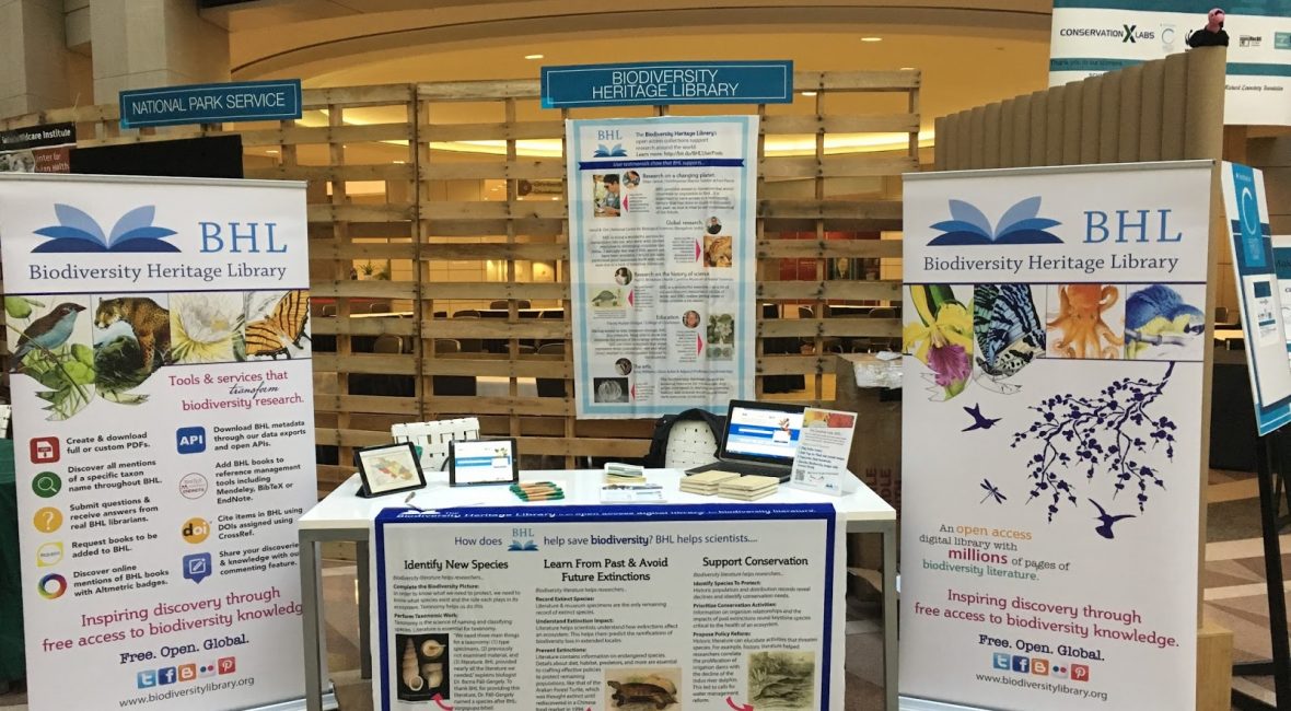 Read the full blog post