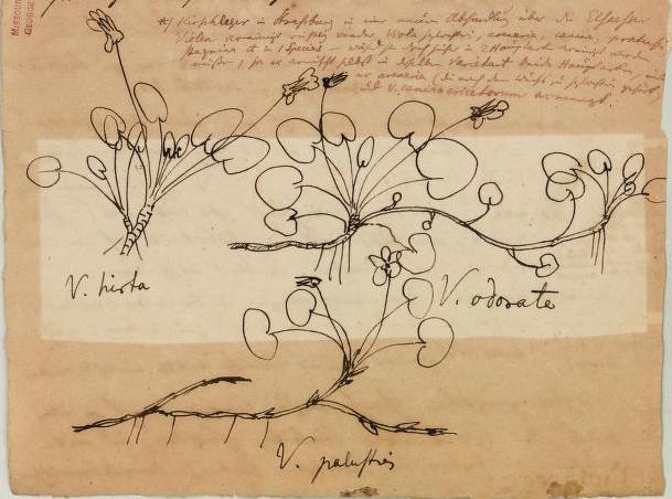 Read the full blog post