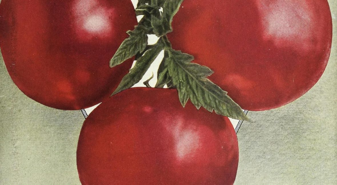 Read the full blog post