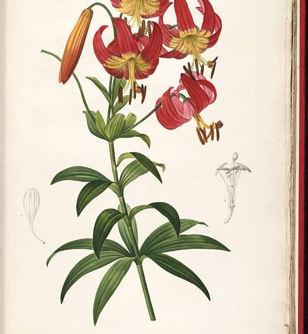 Read the full blog post