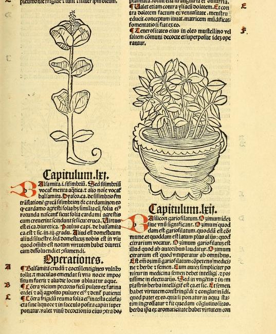 Read the full blog post