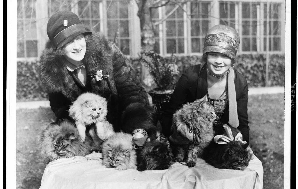 Read the full blog post