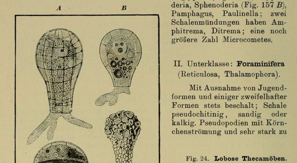 Read the full blog post