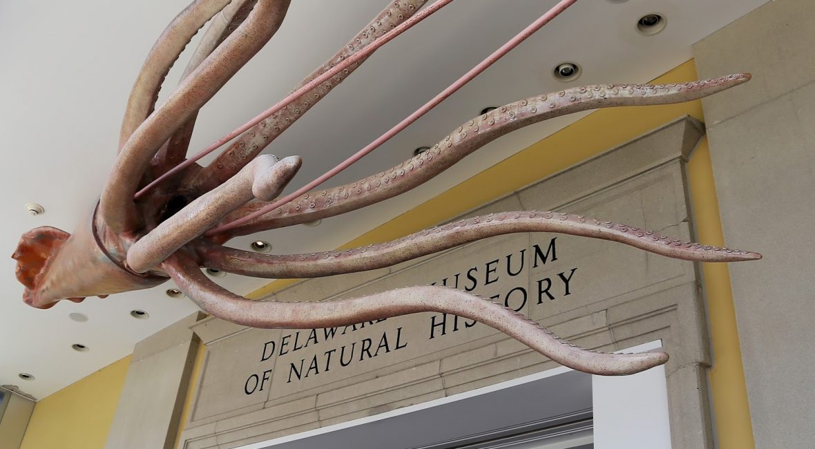 Read the full blog post