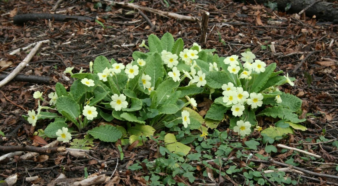 Read the full blog post