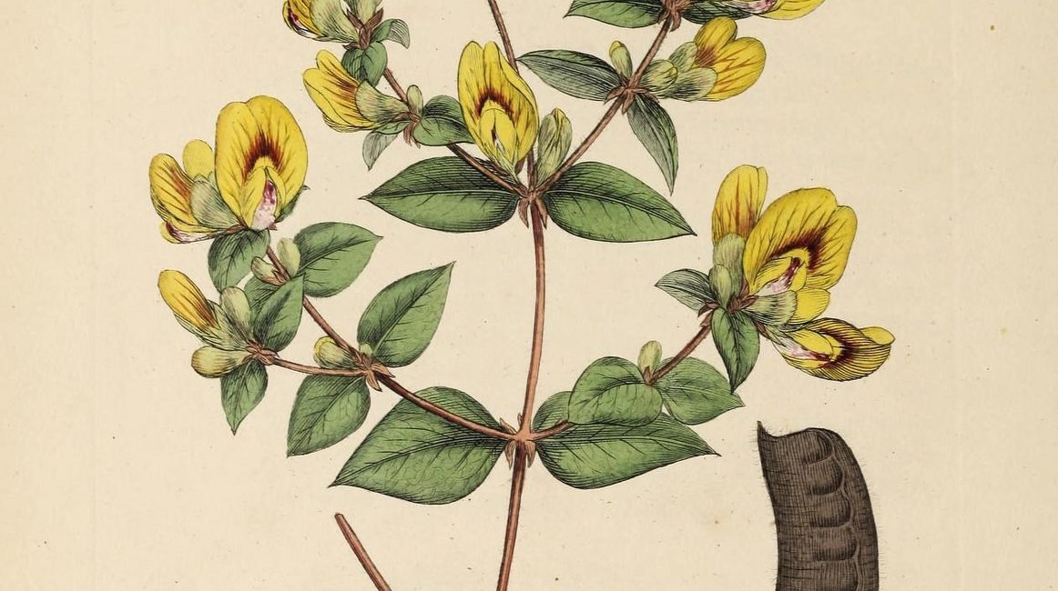 Read the full blog post