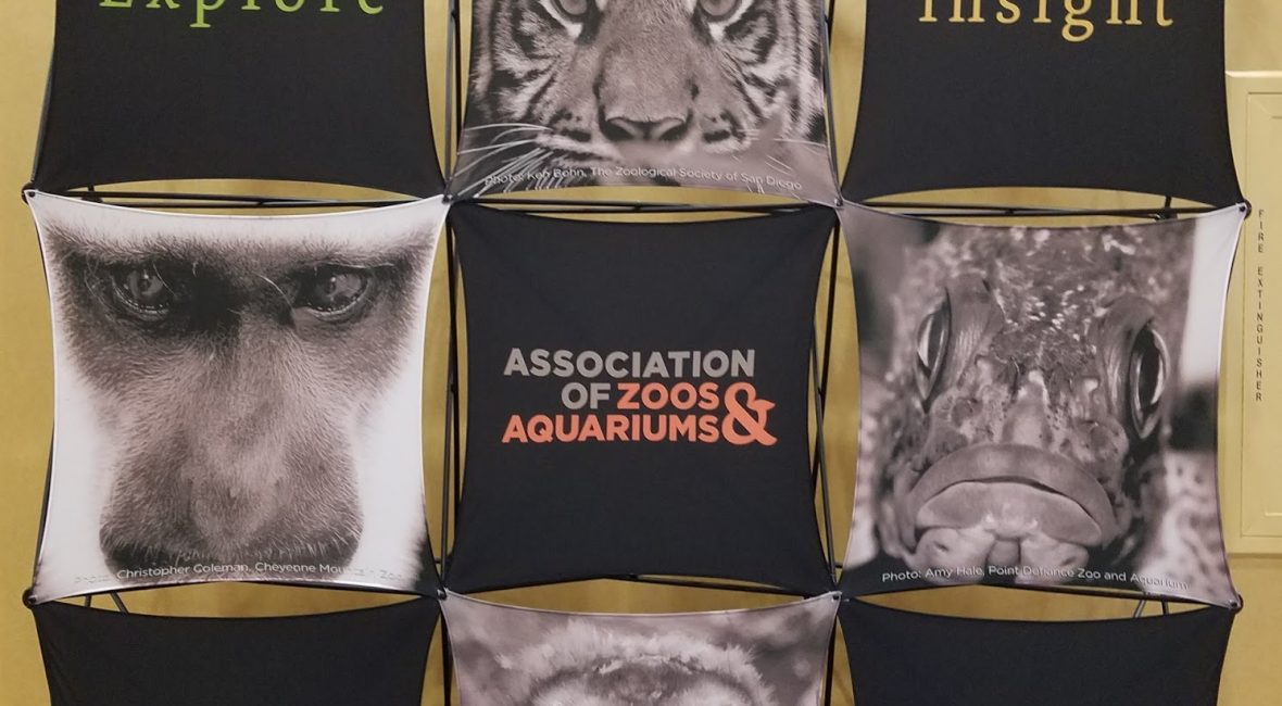 Read the full blog post