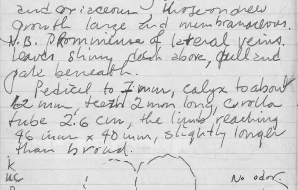 Read the full blog post