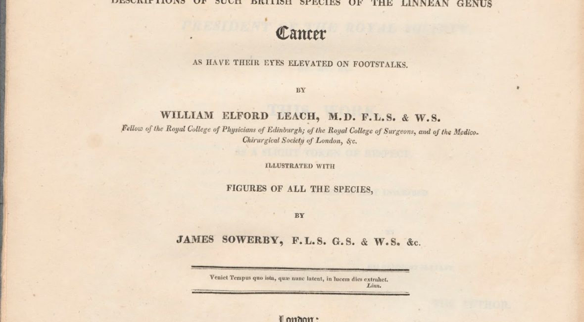 Read the full blog post