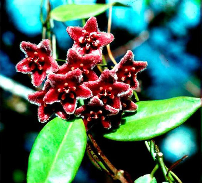 Read the full blog post