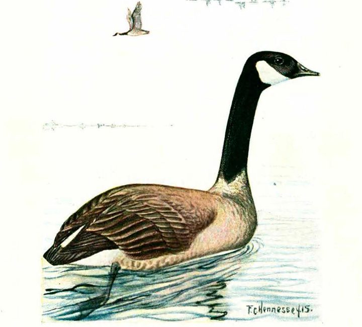 Read the full blog post