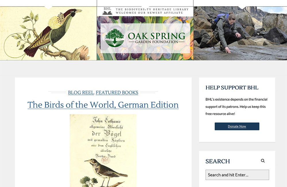 Read the full blog post