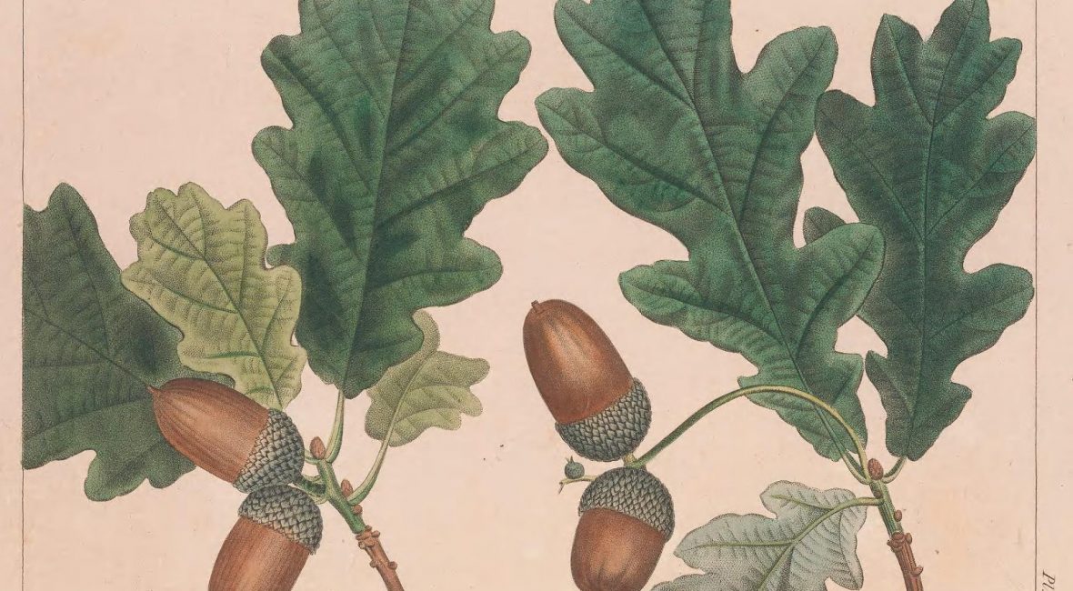 Read the full blog post