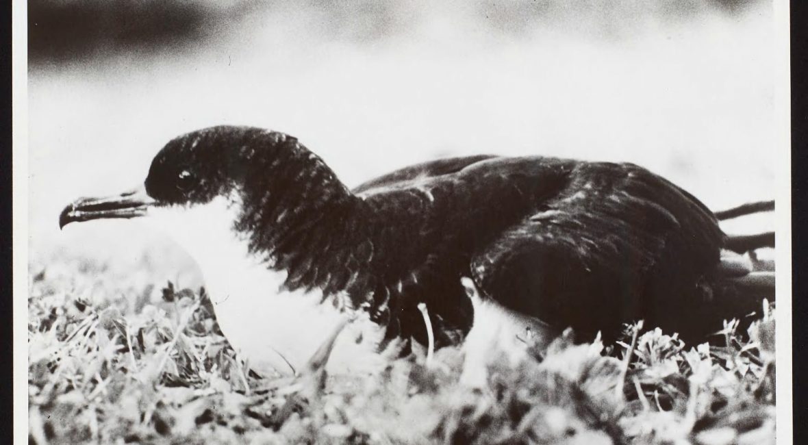 Read the full blog post