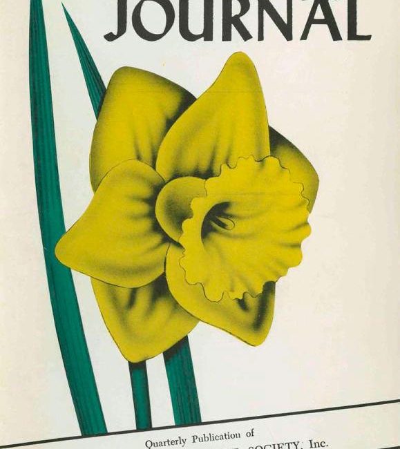 Read the full blog post